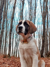 Charger l'image dans la galerie, Forestier | Ensemble