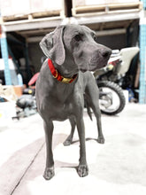 Charger l'image dans la galerie, Cherry | Collier