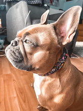 Charger l'image dans la galerie, Picasso | Ensemble