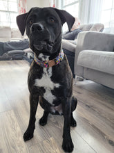 Charger l'image dans la galerie, Picasso | Collier