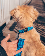 Charger l'image dans la galerie, Indigo | Ensemble