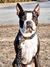 Charger l'image dans la galerie, Bone | Ensemble