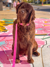 Charger l'image dans la galerie, Gomme balloune | Laisse