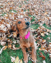 Charger l'image dans la galerie, Gomme Balloune | Collier