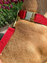 Charger l'image dans la galerie, Cherry | Ensemble