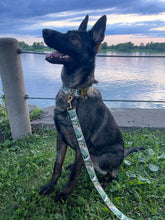 Charger l'image dans la galerie, Tropical | Laisse