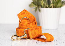 Charger l'image dans la galerie, Crâne orangé | Laisse