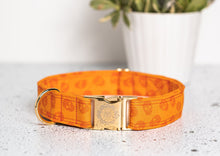 Charger l'image dans la galerie, Crâne orangé | Collier