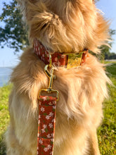 Charger l'image dans la galerie, Terracotta | Ensemble