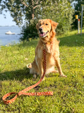 Charger l'image dans la galerie, Terracotta | Ensemble