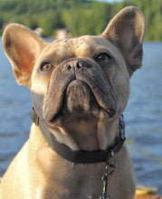 Charger l'image dans la galerie, Atelier Noir | Collier