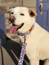 Charger l'image dans la galerie, Latté | Laisse