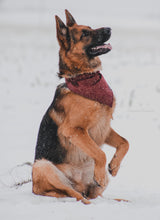 Charger l'image dans la galerie, Bordeaux | Bandana