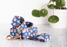 Charger l'image dans la galerie, Latté | Laisse