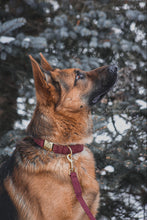 Charger l'image dans la galerie, Bordeaux | Ensemble