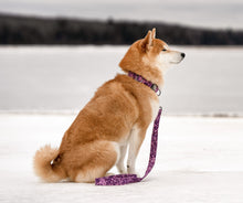 Charger l'image dans la galerie, Fleur sauvage | Ensemble