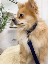 Charger l'image dans la galerie, Côtelé marin | Collier