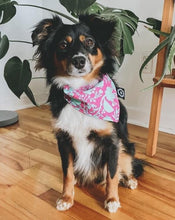 Charger l'image dans la galerie, Fantaisie | Bandana