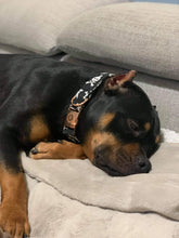 Charger l'image dans la galerie, Skully | Collier