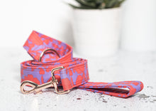 Charger l'image dans la galerie, Daiquiri | Laisse