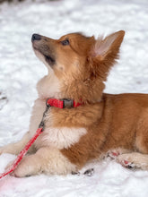 Charger l'image dans la galerie, Pumpkin | Collier