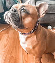 Charger l'image dans la galerie, Picasso | Collier