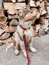 Charger l'image dans la galerie, Canadien | Ensemble