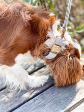 Charger l'image dans la galerie, Matelot | Collier