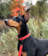 Charger l'image dans la galerie, Pumpkin | Collier