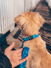 Charger l'image dans la galerie, Indigo | Collier