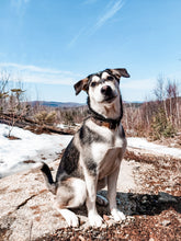 Charger l'image dans la galerie, Jardin Doré | Collier