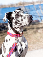 Charger l'image dans la galerie, Daiquiri | Collier