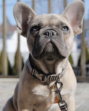 Charger l'image dans la galerie, Indiana | Ensemble