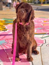 Charger l'image dans la galerie, Gomme balloune | Ensemble