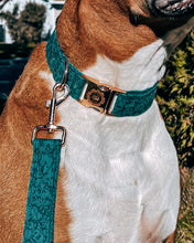 Charger l'image dans la galerie, Sarcelle | Ensemble