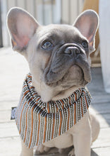 Charger l'image dans la galerie, Indiana | Bandana