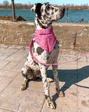 Charger l'image dans la galerie, Daiquiri | Bandana