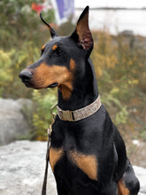 Charger l'image dans la galerie, Chasseur | Ensemble