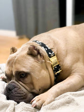 Charger l'image dans la galerie, Skully | Ensemble