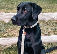 Charger l'image dans la galerie, Matelot | Ensemble