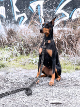 Charger l'image dans la galerie, Bone | Laisse