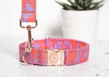 Charger l'image dans la galerie, Daiquiri | Ensemble