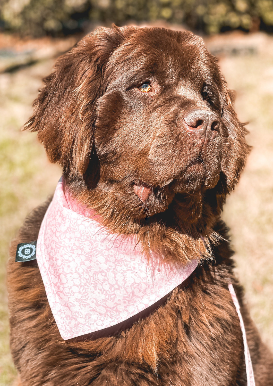 Fleur de cerisier | Bandana