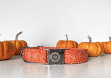 Charger l&#39;image dans la galerie, Pumpkin | Collier
